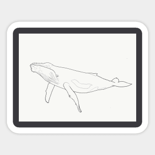 Save the Whales Sticker